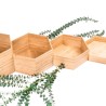 Présentoirs en bambou Hexat Ø30 cm – Kit de 4 | Buffet & traiteur pro | KanTsens