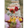 SUNY raspberry display S - 21 cm diameter glass